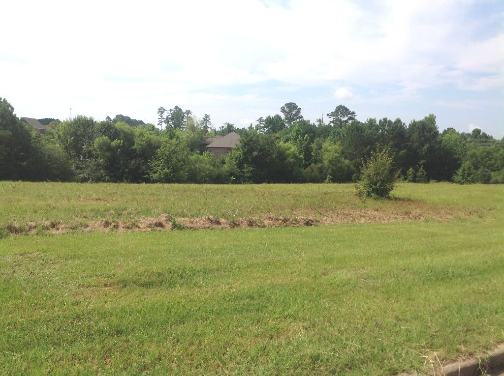 882 Twinforks Ave, Auburn, AL 36830